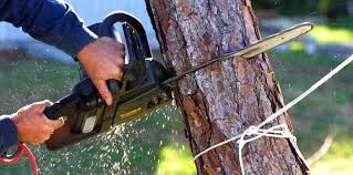 Best Aeration Services  in Woodbury, NJ