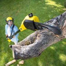 Best Lawn Watering Services  in Woodbury, NJ