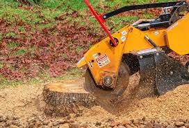 Best Tree Maintenance Programs  in Woodbury, NJ