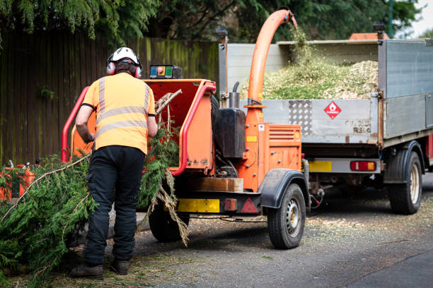 Best Lawn Irrigation Installation and Maintenance  in Woodbury, NJ