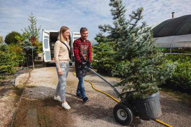 Best Organic Lawn Care Solutions  in Woodbury, NJ