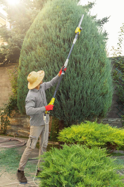 Best Utility Line Clearance  in Woodbury, NJ