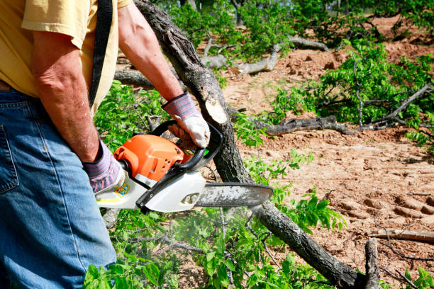Best Soil Testing and Treatment  in Woodbury, NJ